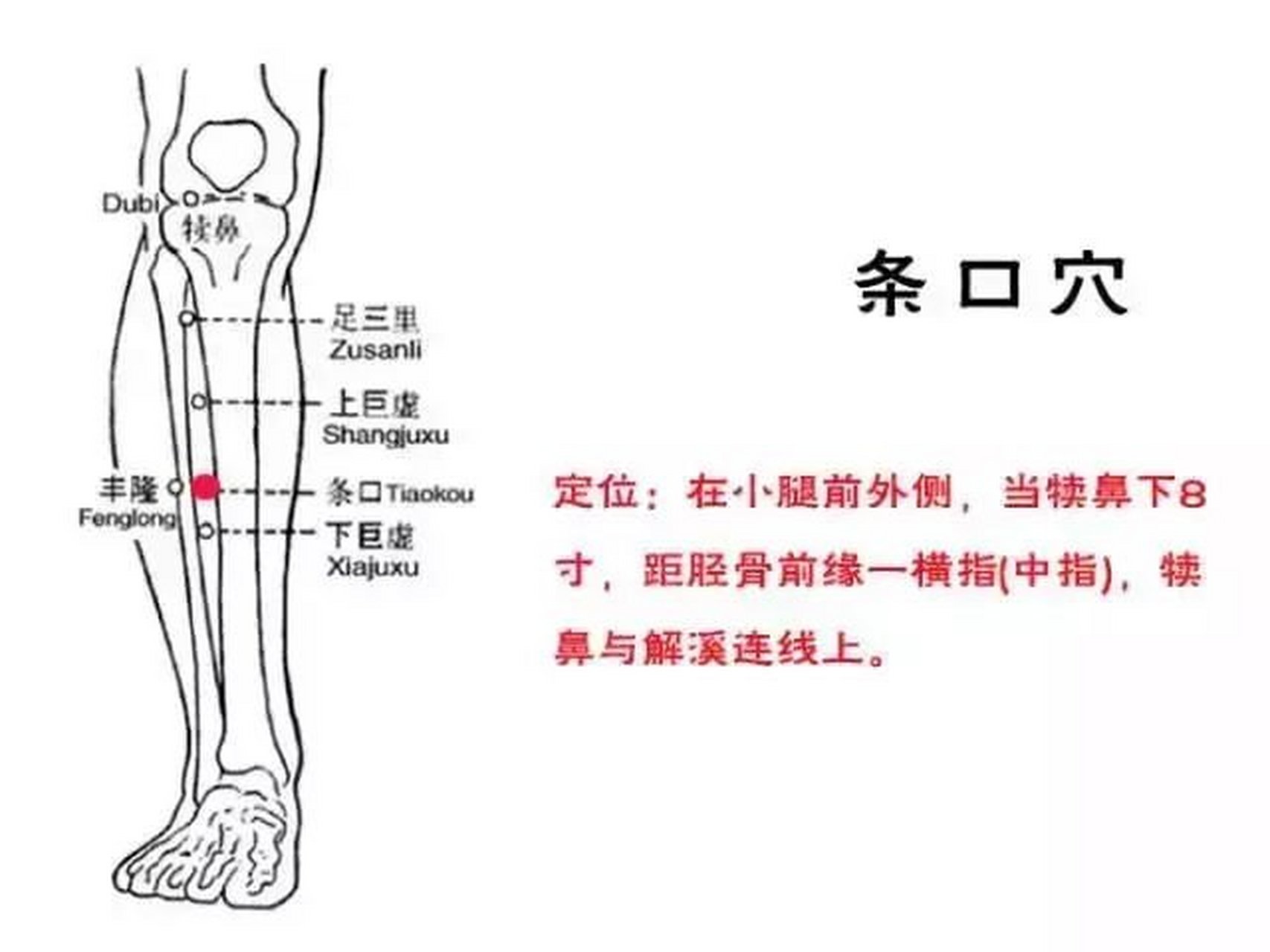 条口的准确位置图图片